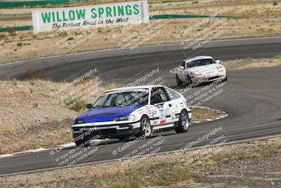 media/May-03-2025-Lucky Dog Racing (Sat) [[206de64b9d]]/Turn 4 A (3pm-4pm)/